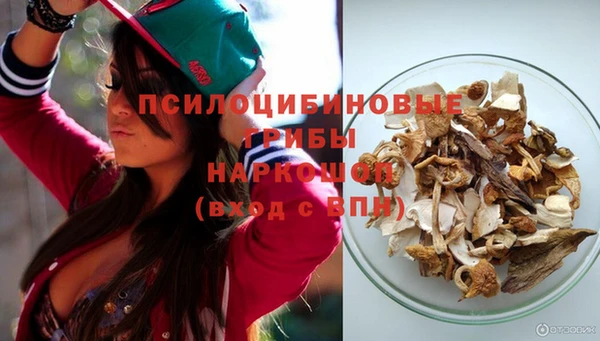 дживик Алексин