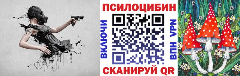 дарнет шоп  площадка какой сайт  Галлюциногенные грибы Psilocybine cubensis  Спасск 